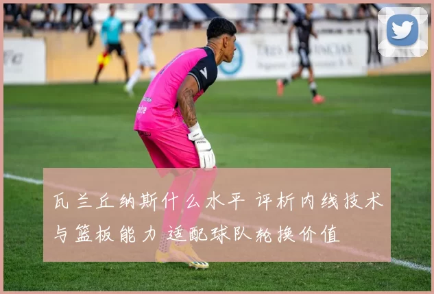 瓦兰丘纳斯什么水平 评析内线技术与篮板能力 适配球队轮换价值