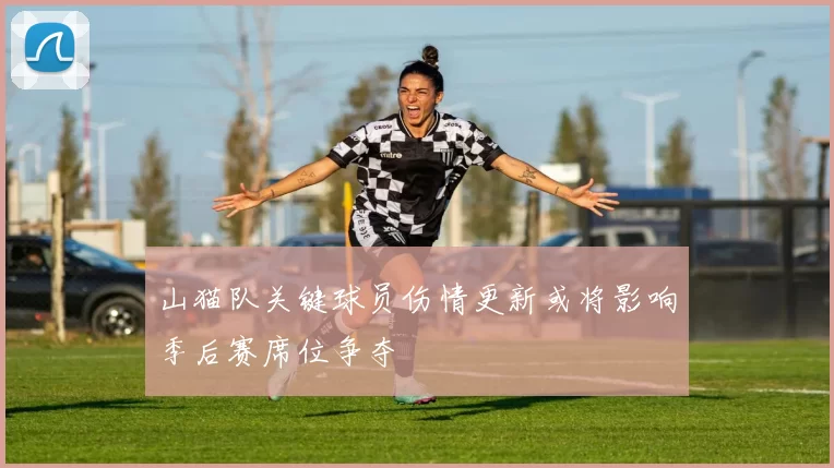 山猫队关键球员伤情更新或将影响季后赛席位争夺