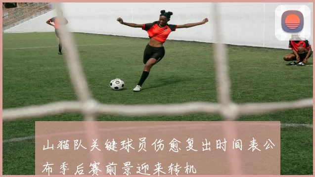 山猫队关键球员伤愈复出时间表公布季后赛前景迎来转机