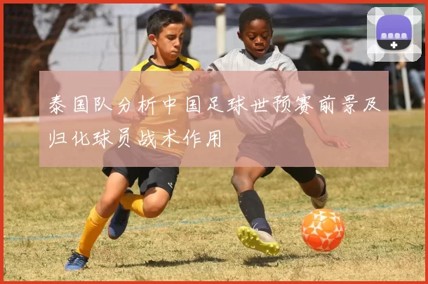 泰国队分析中国足球世预赛前景及归化球员战术作用