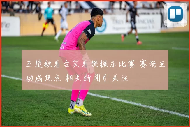 王楚钦看台笑看樊振东比赛 赛场互动成焦点 相关新闻引关注