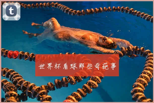 世界杯看球那些奇葩事