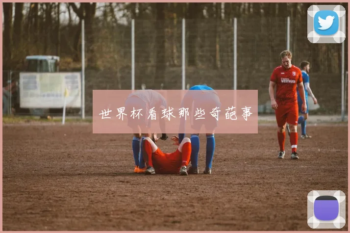 世界杯看球那些奇葩事