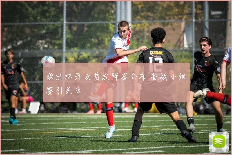 欧洲杯丹麦首发阵容公布 备战小组赛引关注