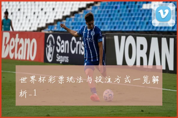世界杯彩票玩法与投注方式一览解析_1